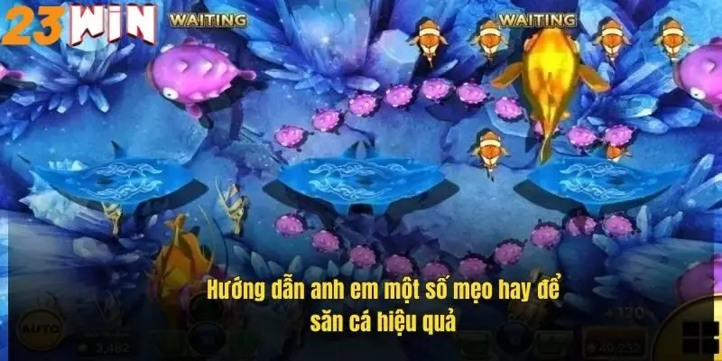 Bắn Cá Vàng – Chinh Phục Đại Dương Săn Thưởng Cực Đã 3 huong-dan-anh-em-mot-so-meo-hay-de-san-ca-hieu-qua