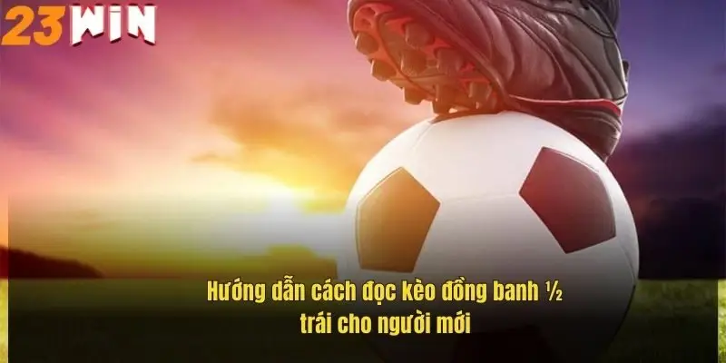 Kèo Đồng Banh Nửa Trái – Hiểu Rõ Luật Chơi Để Thắng Lớn 1 huong-dan-cach-doc-keo-dong-banh-nua-trai-cho-nguoi-moi