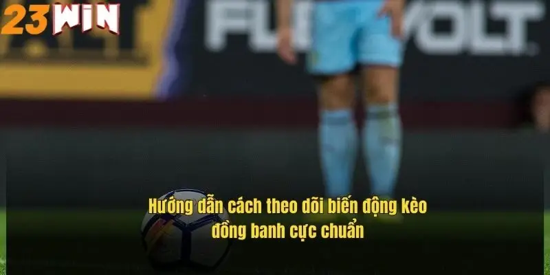 Kèo Đồng Banh Là Gì? Bí Quyết Soi Kèo Hiệu Quả Tại 23Win 2 huong-dan-cach-theo-doi-bien-dong-keo-dong-banh-cuc-chuan
